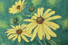 Black Eye Susan -2019