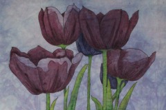 Purple Tulips