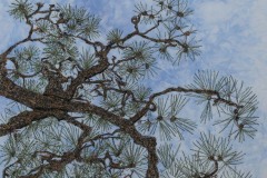 Tree -Thread  sketching-2