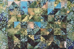 Under-the-Sea-close-up